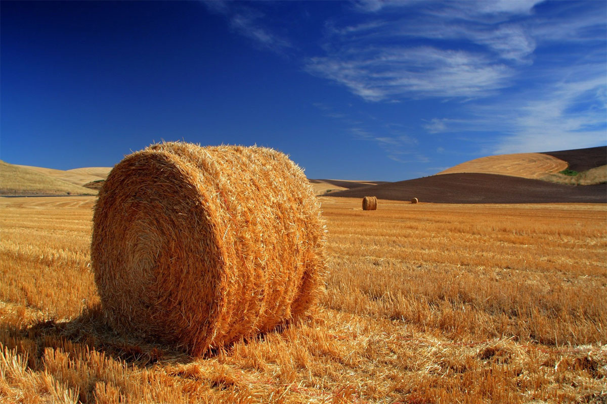 Agricultural图标.jpg